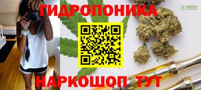 дурь Лесосибирск